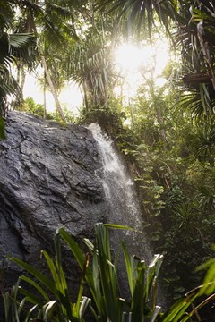 Raffles Seychelles - photo 39