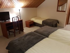 Guineu: Room TRIPLE STANDARD - photo 20