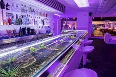 Diana Parc: Bar - photo 4