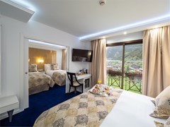 Diana Parc: Room SUITE STANDARD - photo 54