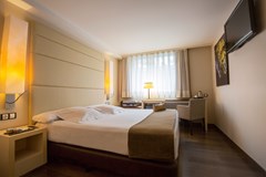 Mola Park Atiram Hotel: Room DOUBLE STANDARD - photo 22