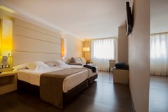 Mola Park Atiram Hotel: Room TWIN PREMIUM - photo 36
