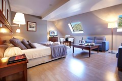 Golden Tulip Andorra Fenix Hotel: Room JUNIOR SUITE STANDARD - photo 34
