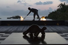 Anantara MAIA - photo 30