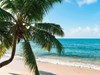 Fisherman`s Cove Resort