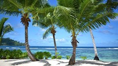 Kempinski Seychelles Resort - photo 15
