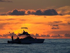 North Island - photo 59