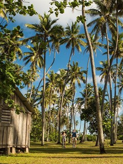 North Island - photo 62