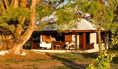 Bird Island Lounge - photo 10