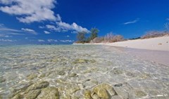 Bird Island Lounge - photo 16