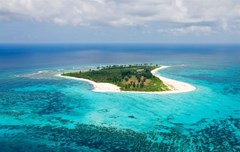 Bird Island Lounge - photo 4