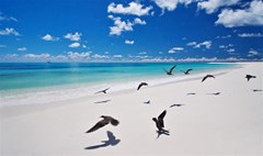 Bird Island Lounge - photo 15