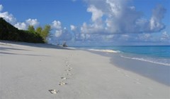 Bird Island Lounge - photo 14