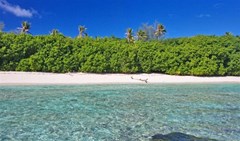 Bird Island Lounge - photo 2