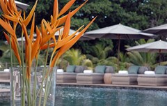 Le Domaine de L'Orangeraie Resort & Spa - photo 18