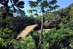 Le Domaine de L'Orangeraie Resort & Spa - photo 22