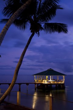 Hotel Coco De Mer & Black Parrot Suites - photo 1