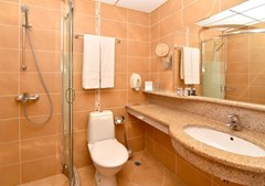 Flamingo Standard - photo 10