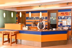 Flamingo Standard - photo 14