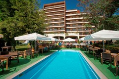 Flamingo Standard - photo 1
