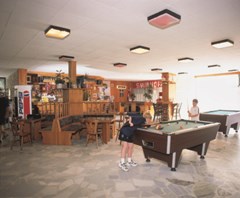 Kamelia - photo 2