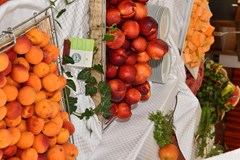 Nona - photo 29