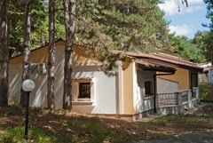 Holiday Village - photo 16