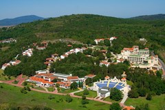 Holiday Village - photo 31