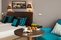 Astera - photo 2