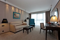 Astera - photo 5