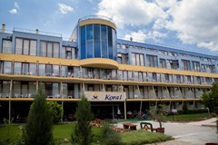 Koral - photo 3