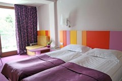 Koral - photo 5