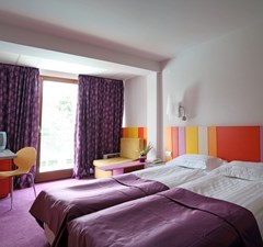 Koral - photo 6