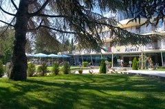 Koral - photo 9