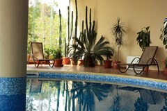 Tiara Beach - photo 63