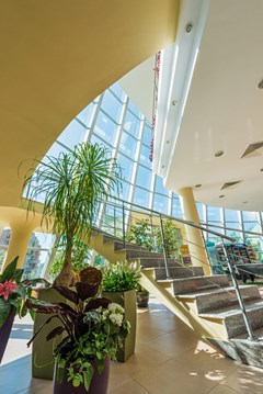 Ivana Palace - photo 27