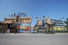 Kotva - photo 46