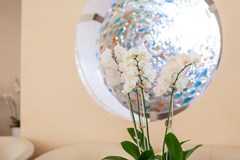 Wela - photo 46