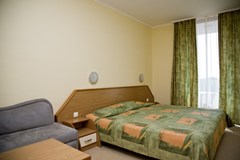 Hrizantema - photo 22
