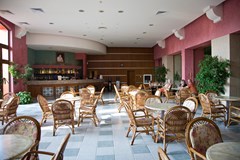 Hrizantema - photo 33