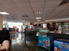 Zdravets - photo 7