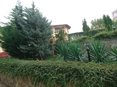 Royal Palm AH - photo 32