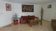Royal Palm AH - photo 36