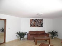 Royal Palm AH - photo 42