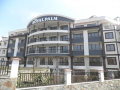Royal Palm AH - photo 8