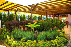 Sunrise (former Selena2 /Helena2) - photo 44