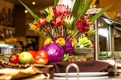 Havana Casino and Hotel - photo 10