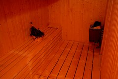 Melssa Coop - photo 8