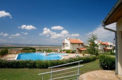 Almond Hills AH Kosharitsa - photo 6