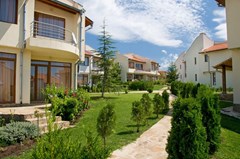 Almond Hills AH Kosharitsa - photo 7